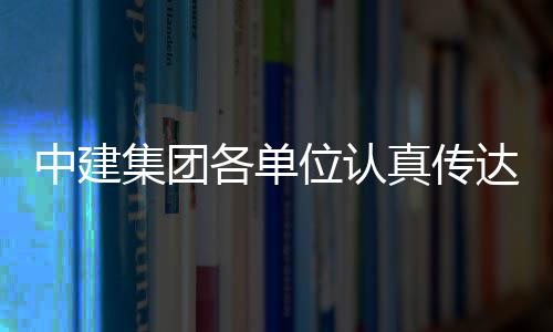 中建真传各单位认全会习党达学的二集团精神十届三中