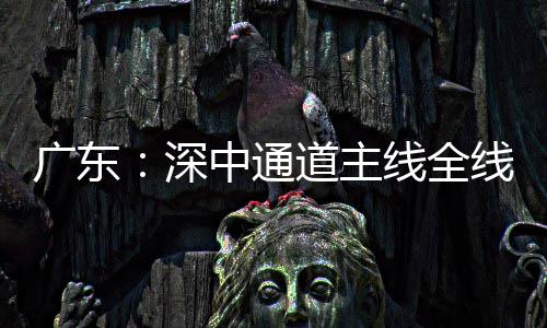 中通广东线全线亮道主灯，倒计通车进入深时